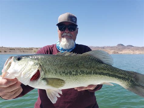 Exploring Lake Mead fishing